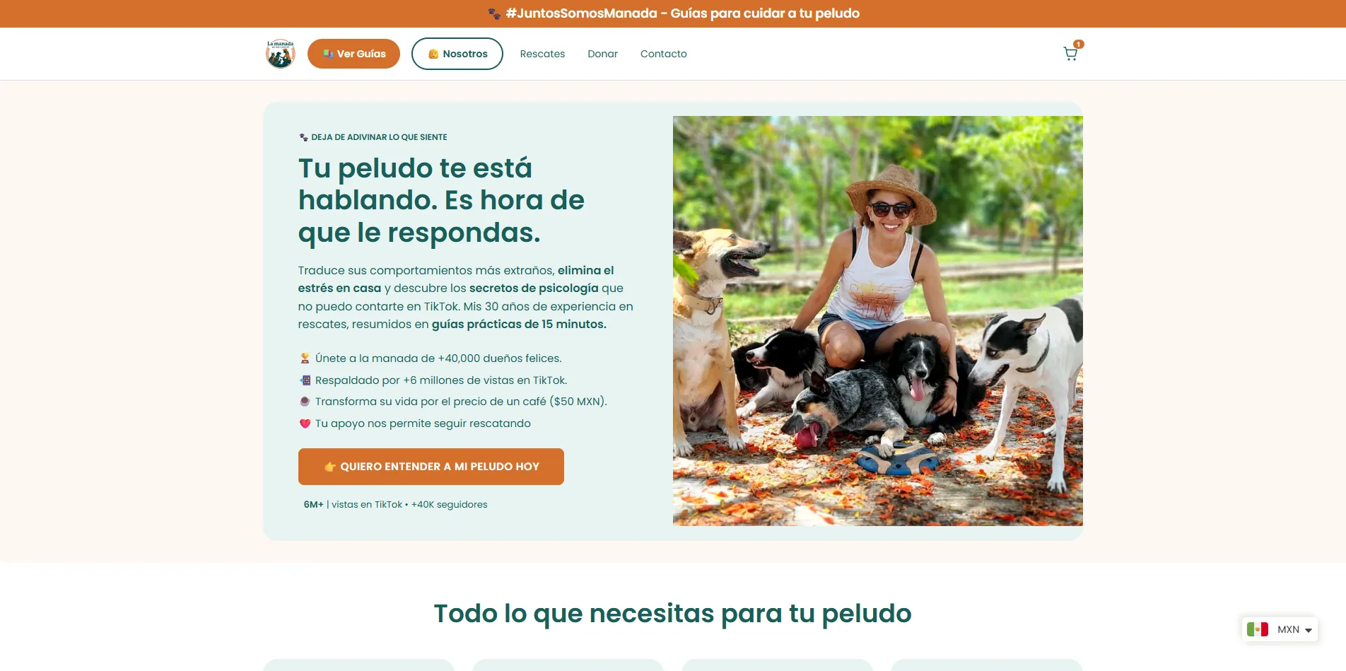 La Manada de Mis Chicos - E-commerce